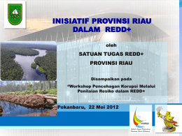 Inisiatif Provinsi Riau dalam REDD+