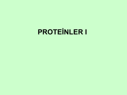 Proteinler 1 - WordPress.com