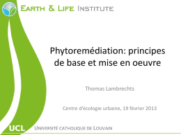 Thomas Lambrechts - Phytoremédiation : principes de base et mise