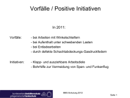 BBS-Schulung_2012-Vorfaelle-Positive_Initiativen_29.02.2012