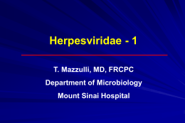 Herpes Viruses - Infectious Diseases