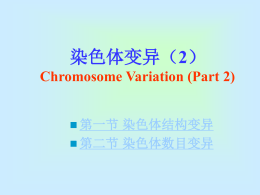 05-2染色体变异