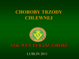 plik 2 - Lublin