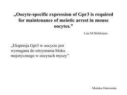 „Oocyte-specific expression of Gpr3 is required for maintenance of