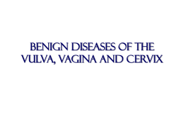 Benign diseases of the vulva, vagina and cervix