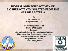 BIOFILM INHIBITORY ACTIVITY OF BIOSURFACTANTS ISOLATED