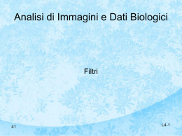 Filtri - Imaging in Biologia e Medicina
