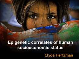 Epigenetic correlates of human socioeconomic status