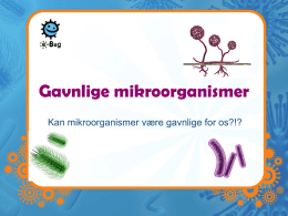 Gavnlige mikroorganismer - e-Bug