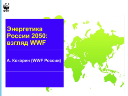 Энергетика России 2050 - Всемирный фонд дикой природы