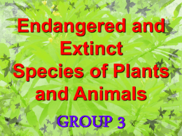 Endangered and Extinct Species of Plants and