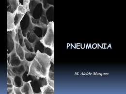 Pneumonia 2013 AulaFINALISS