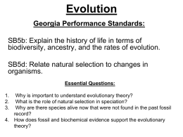 Evolution