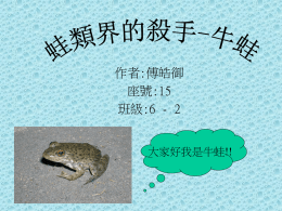 入侵台灣的外來生物:牛蛙