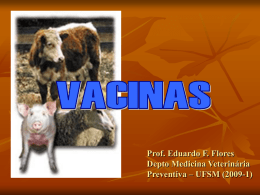 Vacinas 3 - Setor de Virologia UFSM