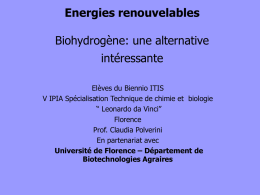 Energies renouvelables Biohydrogène: une alternative
