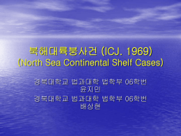 북해대륙붕사건(North Sea Continental Shelf Cases)