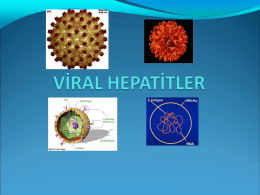 Viral Hepatitler Sunusu - Kastamonu İl Sağlık Müdürlüğü