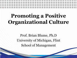 Promoting a Positive Organizational Culture