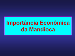 1. Importância Socioeconômica da Mandioca