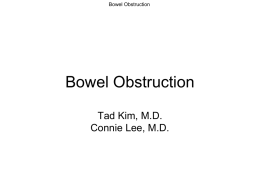 3 Bowel Obstruction_Lee