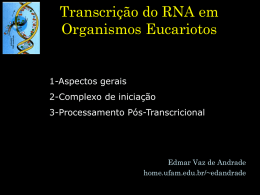 Transcrição em Organismos Eucarióticos e Processamento
