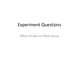 Effect of IAA on Plant tissue Exam Questions