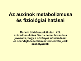2. Az auxinok fiziológiai hatásai