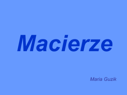 Maria Guzik - Macierze