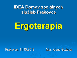 Ergoterapia - dssprakovce.sk