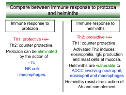 immune response lecture3