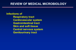 Microbiol Rev w Cases