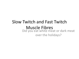 Slow Twitch and Fast Twitch Muscle Fibres