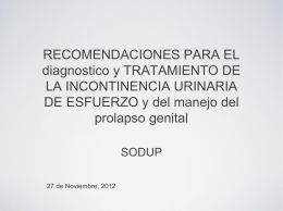 Presentaci&oacute;n 1