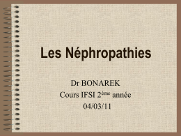 Néphropathies interstitielles