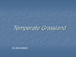 Temperate Grassland - Lewiston School District