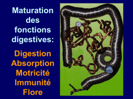 Maturation des fonctions digestives