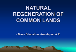 Presentation on Natural Regeneration