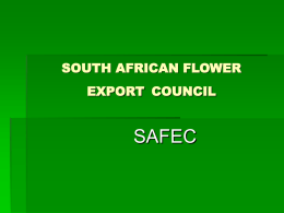 South African flower export council 17/07/08