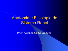 Anatomia e Fisiologia do Sistema Renal