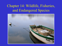 Wildlife, Fisheries, and Endangered Species