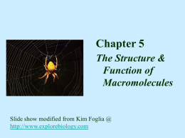 Chapter 5 Powerpoint Notes