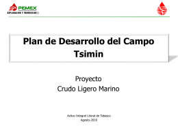 Plan de Desarrollo del Campo Tsimin