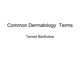 Common Dermatology Terms