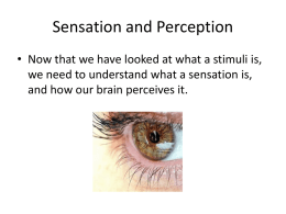 Sensation and Perception 40S 22015