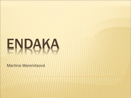 Endaka - Webnode