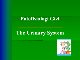 Patofisiologi Penyakit II Pertemuan 6