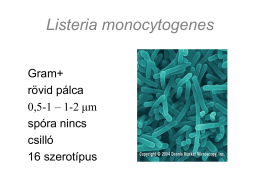 4-5. Listeria monocytogenes, Campylobacter kimutatása