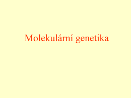 Molekulární genetika