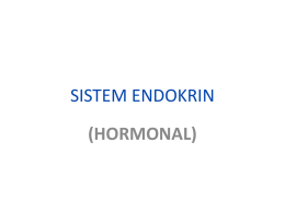 1 Hormon Sistem-endokrin-1